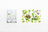 Apprée Window Sticker Bird - Stuff & All Ltd 