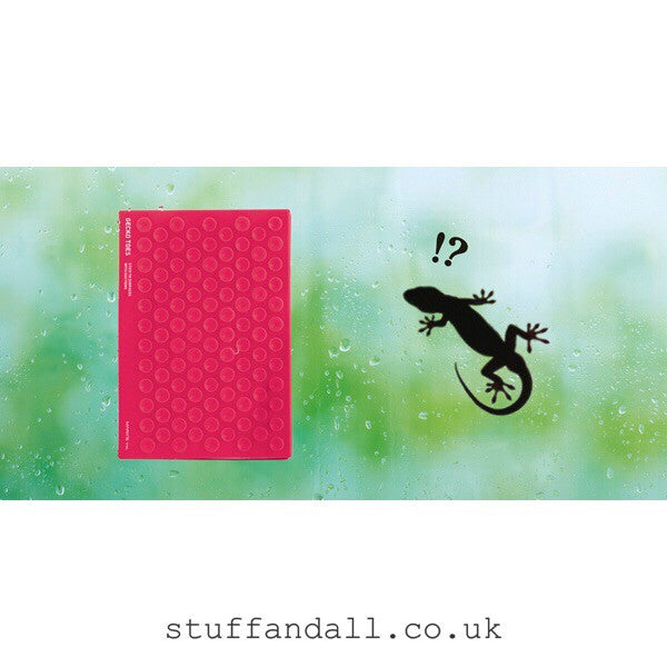 Gecko Notebook A6 Pink - Stuff & All Ltd 