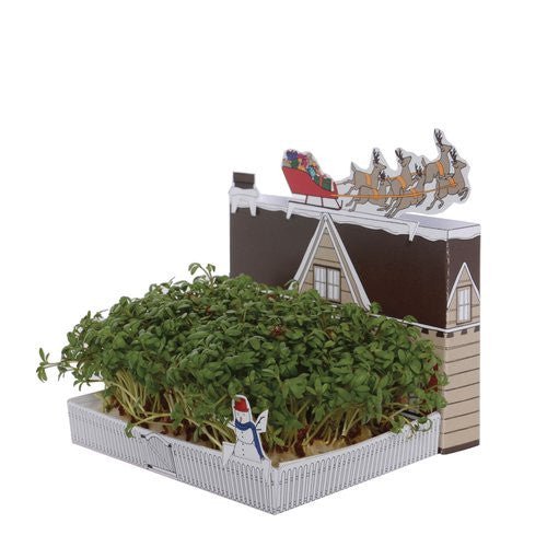 Christmas Garden Growing Kit - Stuff & All Ltd 